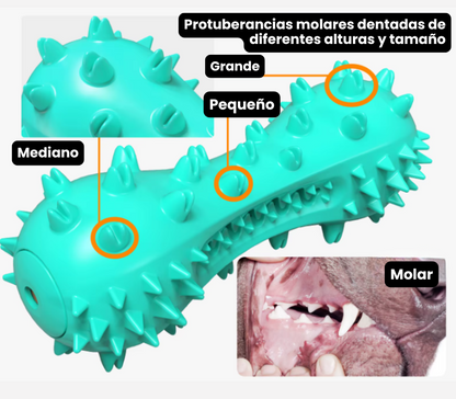 DentiPet®- Juguete Limpiador Dental