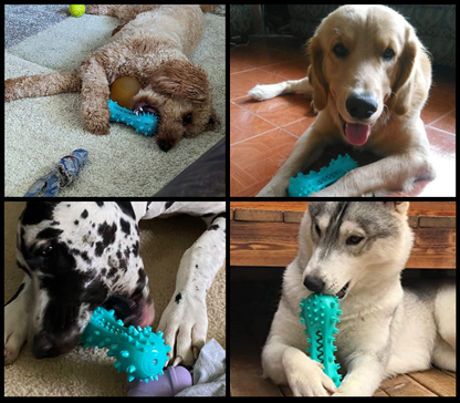 DentiPet®- Juguete Limpiador Dental