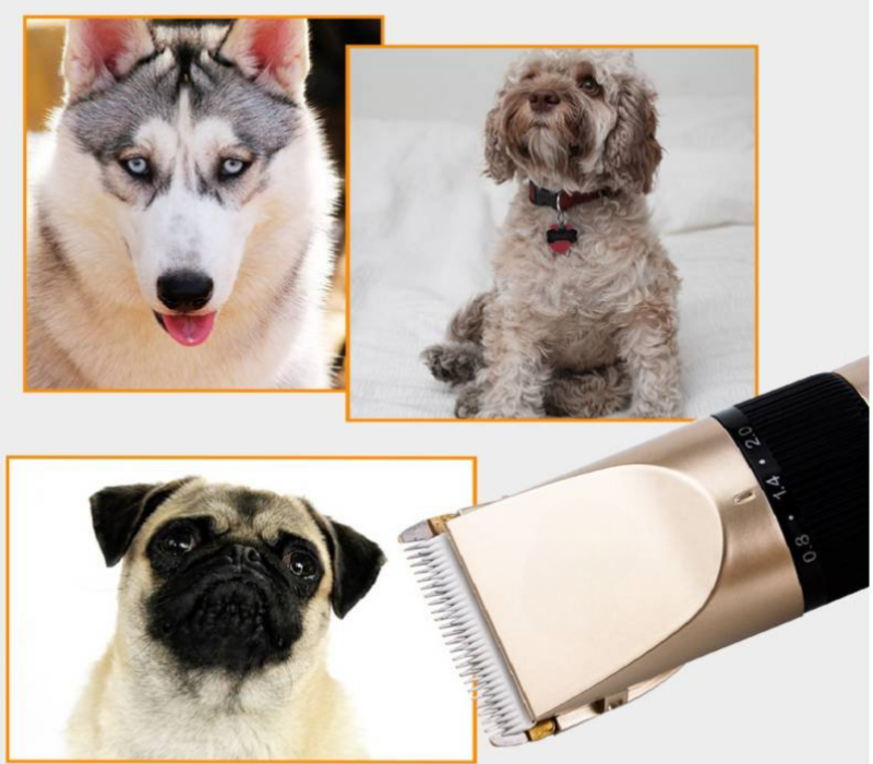 Kit de belleza para tu canino