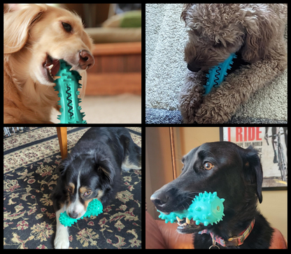 DentiPet®- Juguete Limpiador Dental